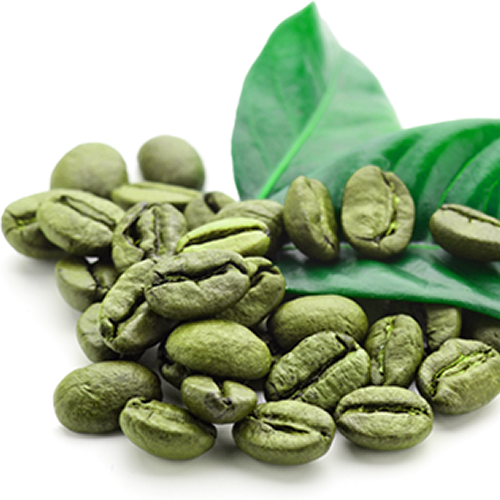 Coffea arabica - σπόροι
